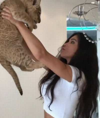 Simba shines on you
