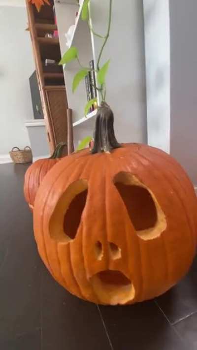 Happy Halloween! ?