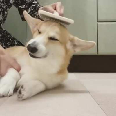Wait for it!