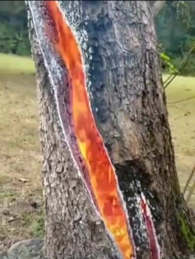 ? Effects of a lightning strike
