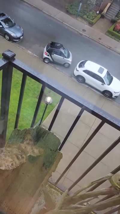 Driving just isn't for everyone?