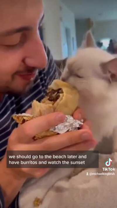Cat eating burrito ??
