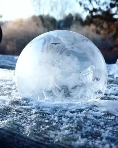 Rip the bubble