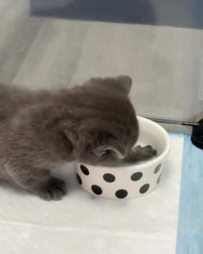 ❤ ? Just one more drink... ? ❤