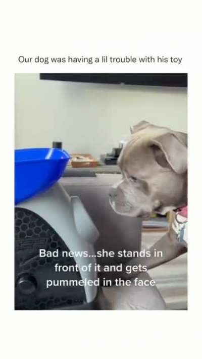 Don't worry, she is ok ?