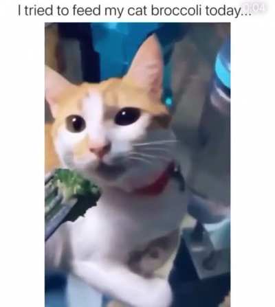Broccoli?