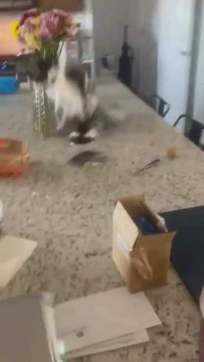 What sorcery is this?!