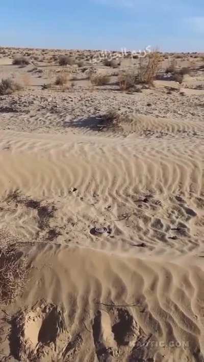 Just don't play with landmines