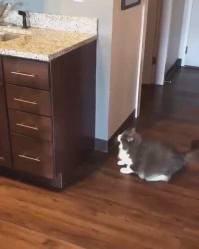 Let's try to jump