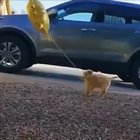 He’s just trying to bring a little sunshine into your life