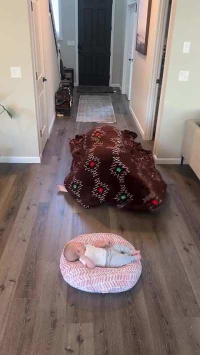 Beware of the Blanket Monster