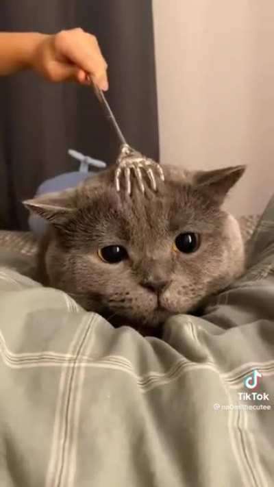 ??