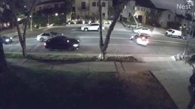 From my buddy’s nest cam.
