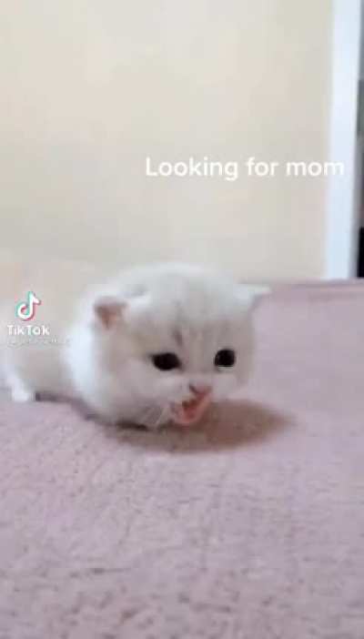 Oh lawd he comin'!