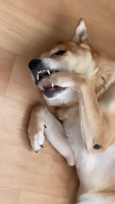 He just ate. Now it’s time to floss.