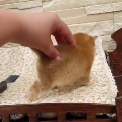 So smoll ?