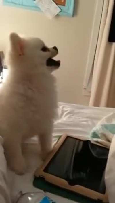 Actual footage of me sneezing ?????