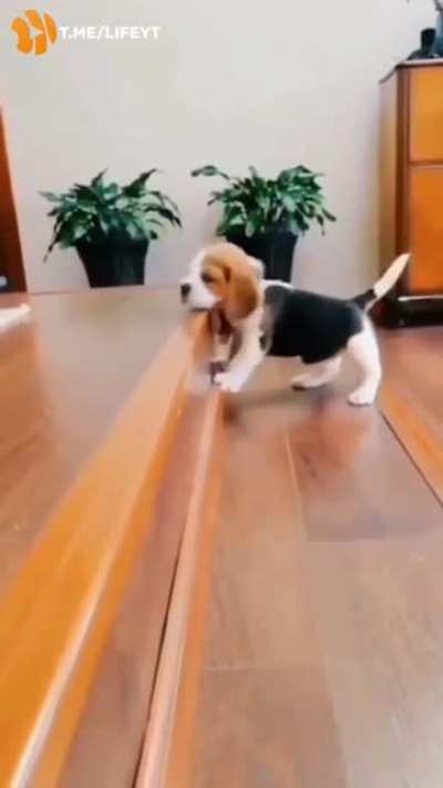 Just look at this little cutie ???