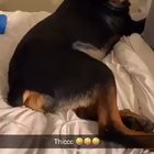 He said ???