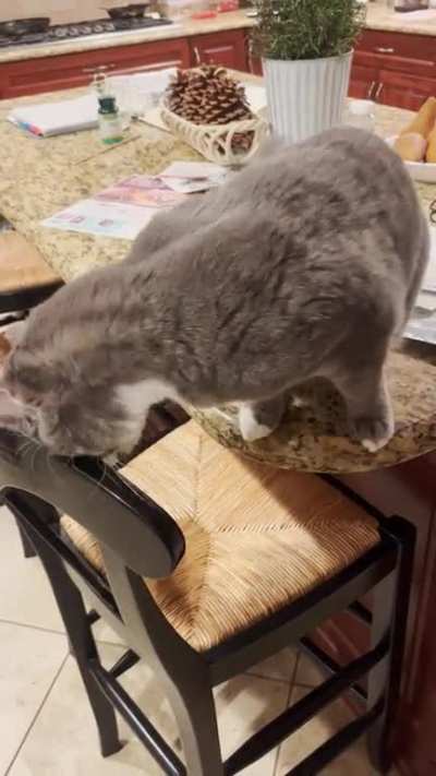 Duncan gets a bit angry around dinner time