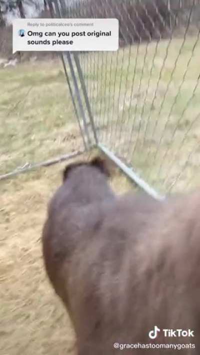 ???