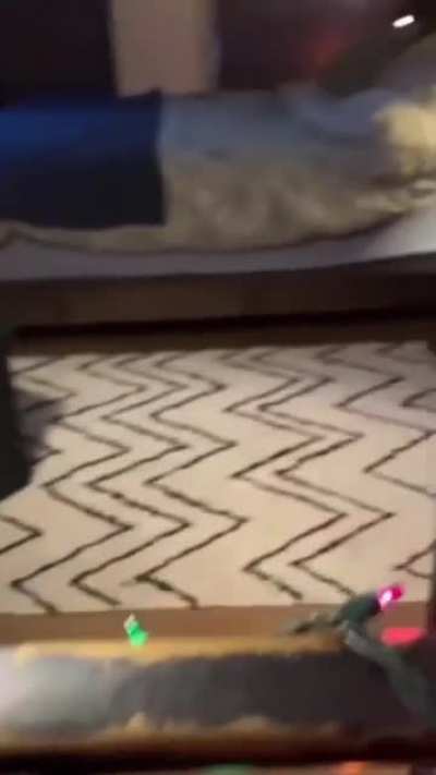He just wanted to show off his bedroom.