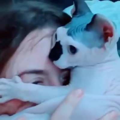 MEOW_IRL