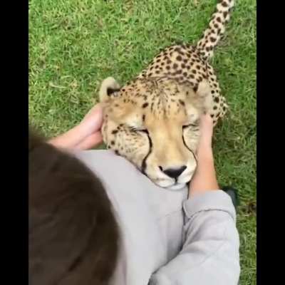 "Mmmm yes, keep doing that Human, and I won't eat you."