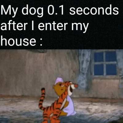 He be a good boy though