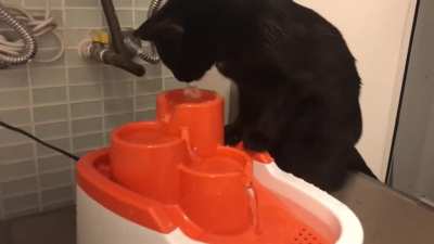 Water taps! (She never saw a water fountain before)