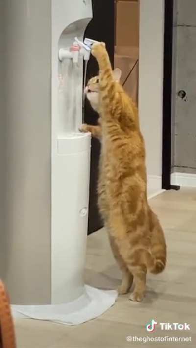 THEY’RE EVOLVING