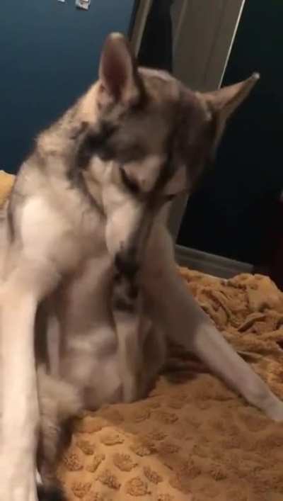 That’s the spot