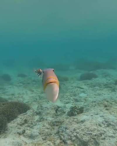 ? underwater