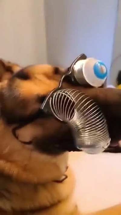 Googly happy hooman ??