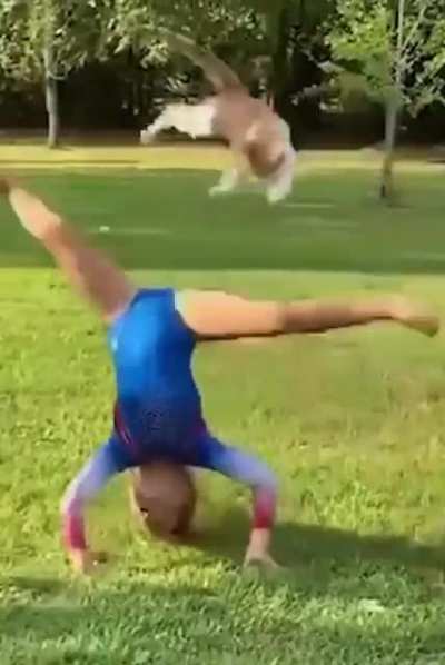 Gymnastics