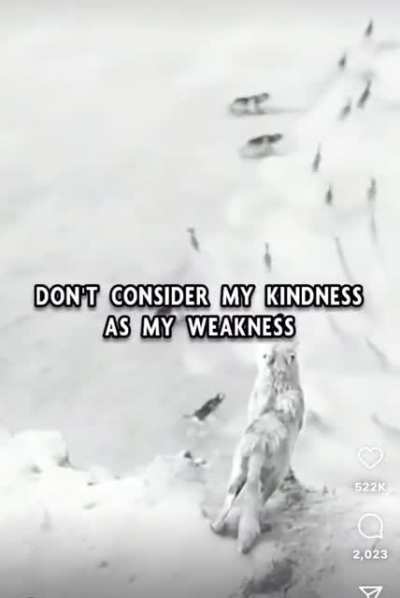 Inside of you, there is a wolf…