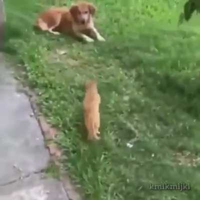 look at meeeee