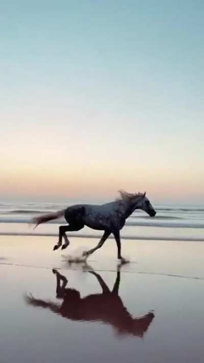 Freedom is: running on the beach