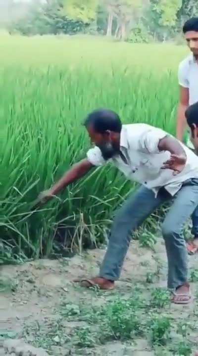 Damn that's dangerous