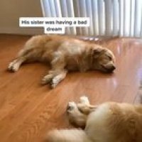Making sure his fren is ok