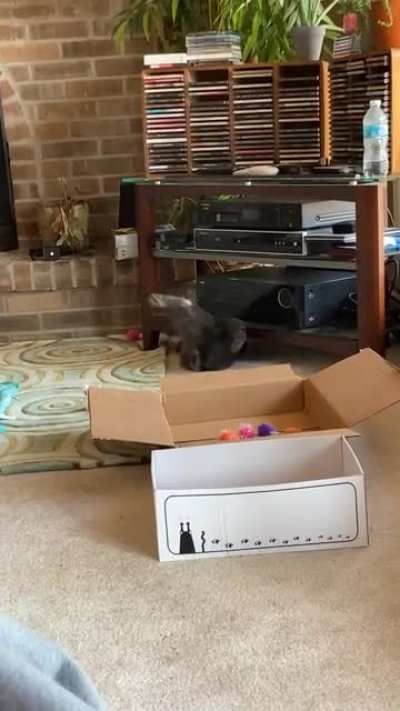 She is usually so graceful. This had me in tears