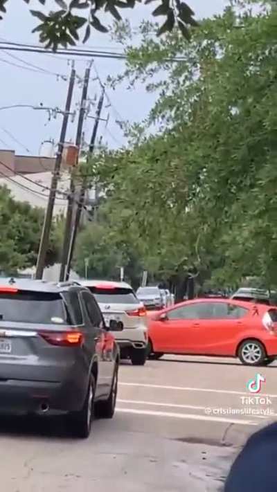 Squirrel magic, then an unexpected incident