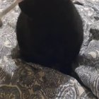 MUST ROTATE WEEEEEE