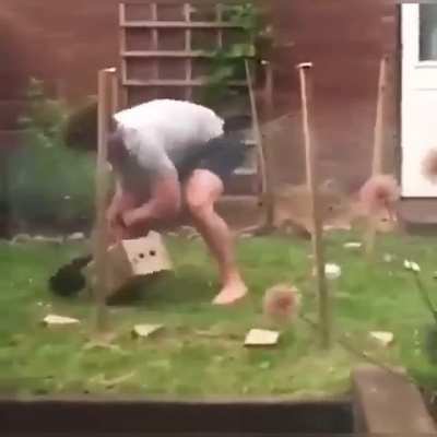 This is how easy to catch a rabbit ?
