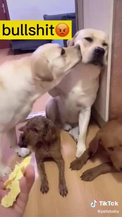 ???