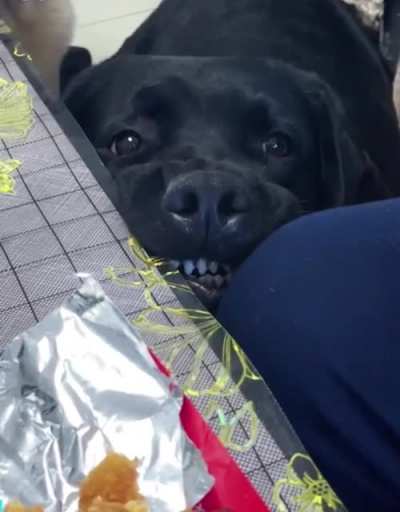 Every bite you take, I’ll be watching you ?