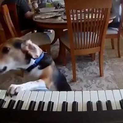 I can sing!!