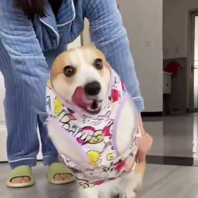 If you need a smile...?