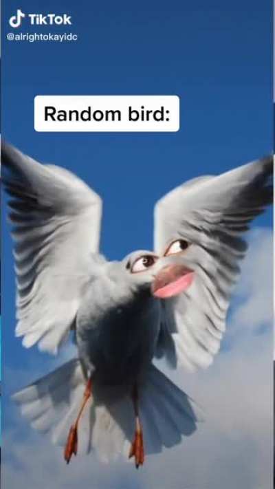 ?