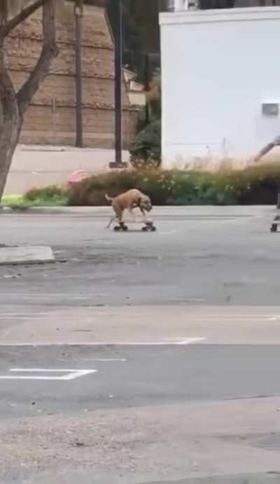 Skateboarding bros